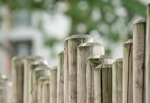 Nyt hegn: Få inspiration til dit nye hegn lige her! 